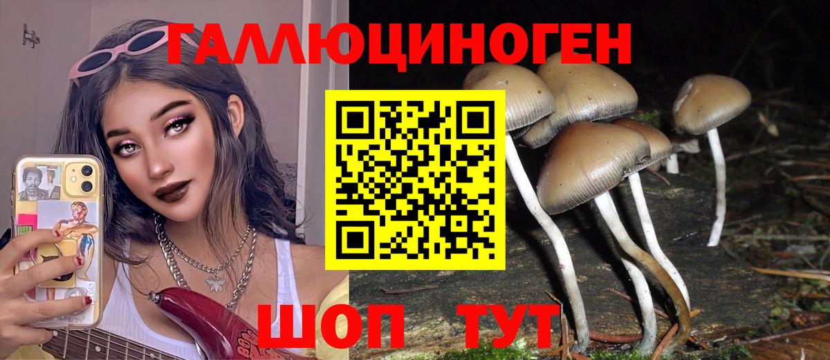 магазин продажи наркотиков  Псилоцибиновые грибы мицелий  Вход с VPN  Шелехов 