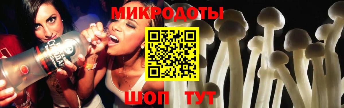 Галлюциногенные грибы Шелехов
